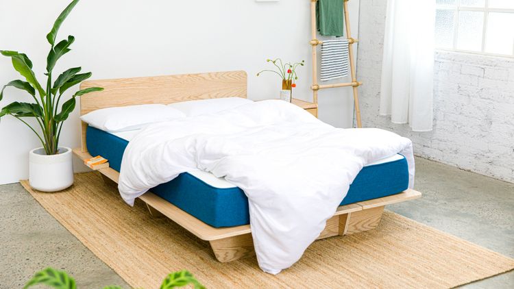 日本初上陸！サステナブルでスタイリッシュな「コアラベッドフレーム