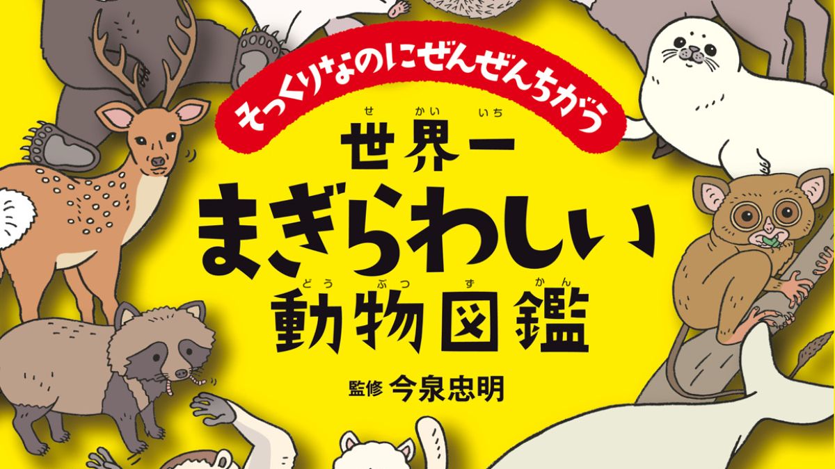 小学館から、今泉忠明先生の最新刊「世界一まぎらわしい動物図鑑