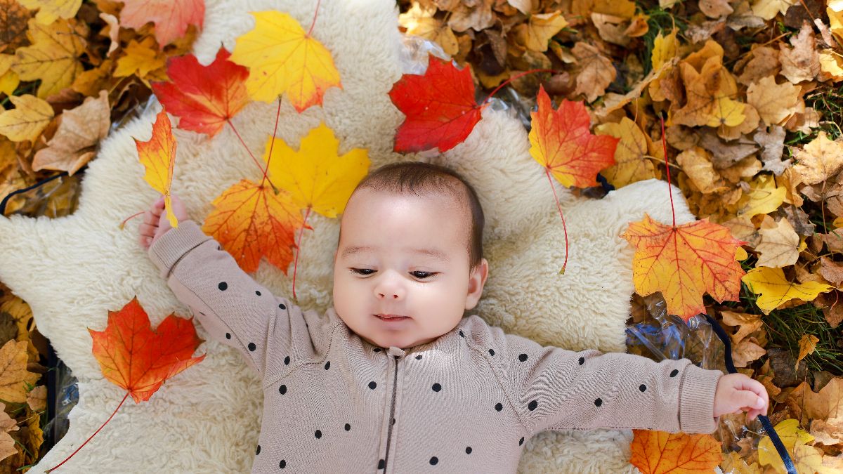 豪華11点セット】寝相アート&ぬいぐるみ 背景 豪華11点セット】寝相