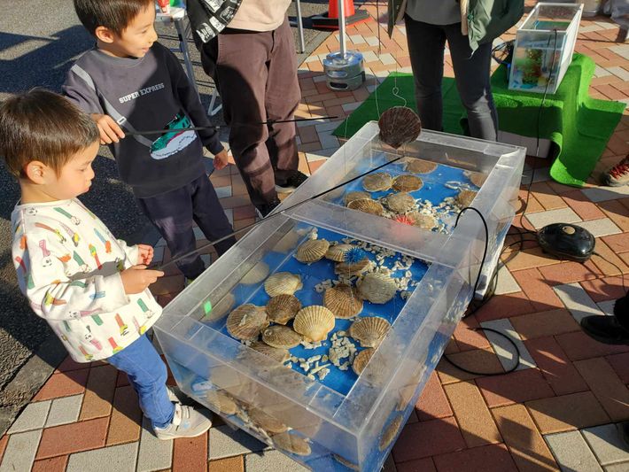 ホタテ釣り&BBQ体験