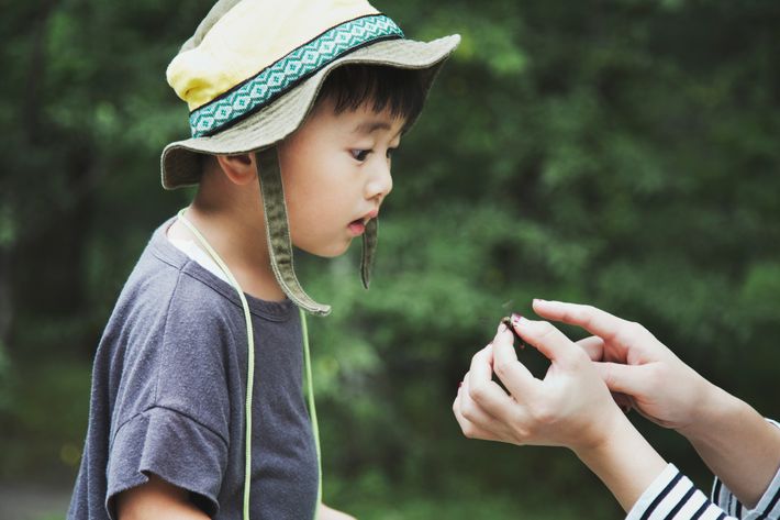 虫を見て驚く子どもの写真