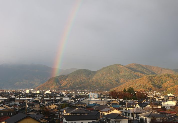 保育園留学先の長野県上田市の山々や木々の紅葉など美しい風景が広がっています。