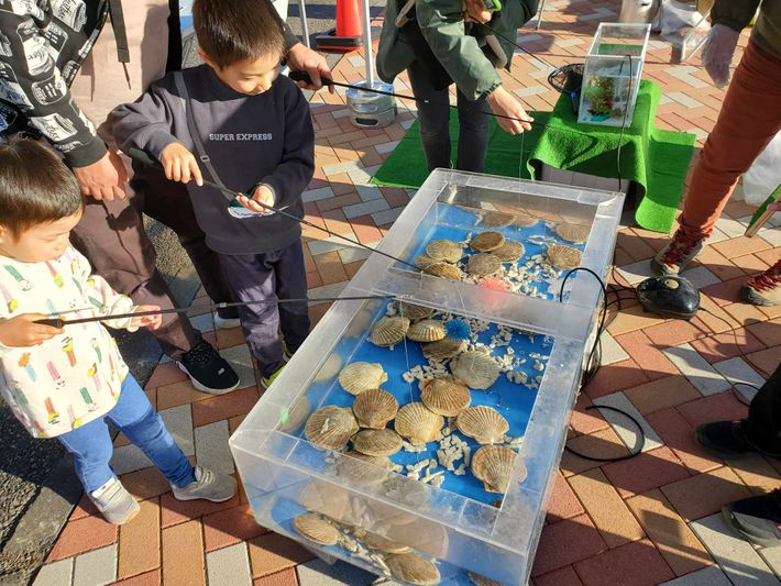 ホタテ釣り&BBQ体験