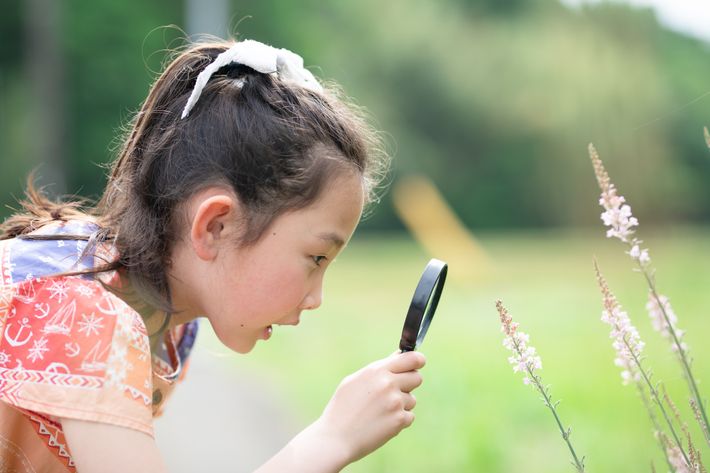 虫眼鏡で花を眺める少女