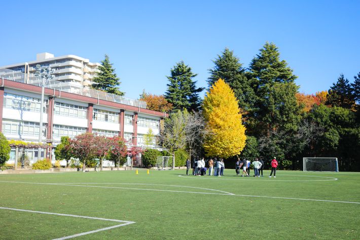 アオバ・ジャパンインターナショナル光が丘校のグラウンド