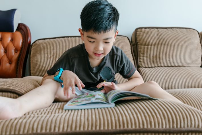 図鑑に夢中になる子どものイメージ写真