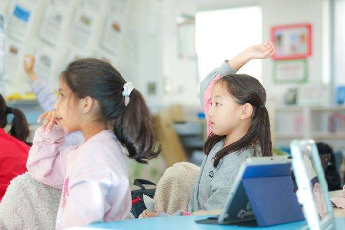 授業で手を挙げる女の子