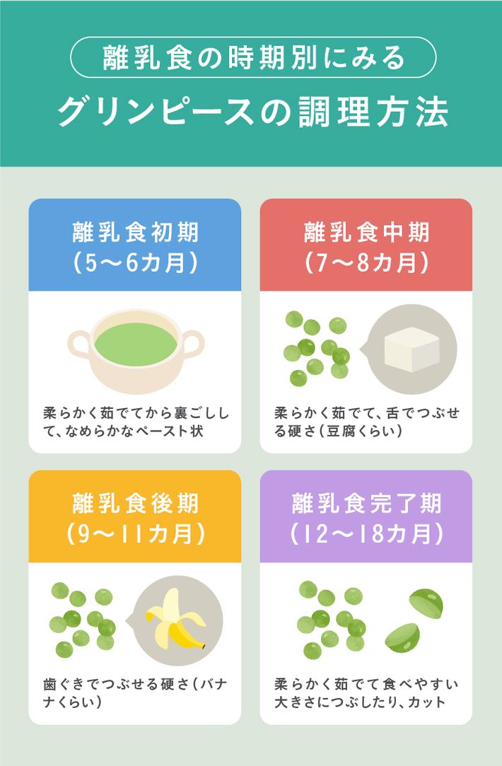 離乳食の時期別にみる グリンピースの調理方法