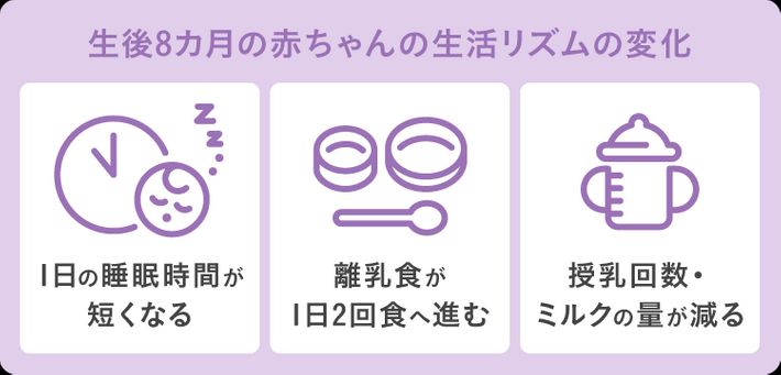 生後8か月の赤ちゃんの生活リズムの変化