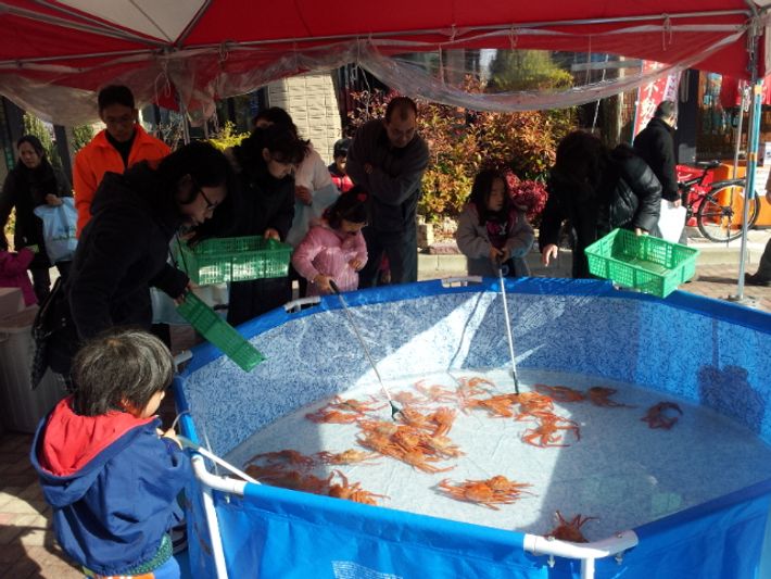 ズワイガニ釣り&カニ汁サービス