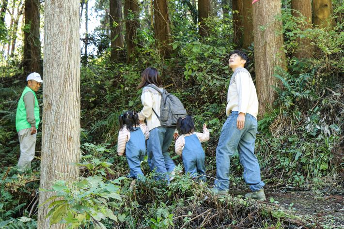 ハイキングをするひろぴーファミリー
