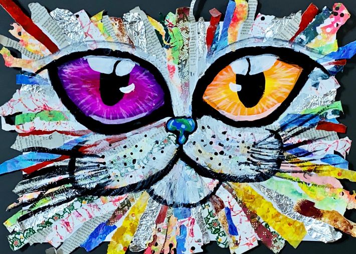 RYE THE KITTY CAT saya