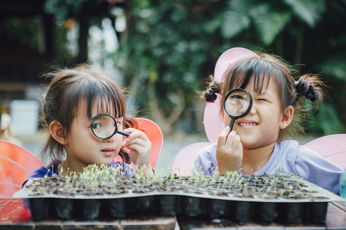 虫眼鏡で植物の苗を見る女の子