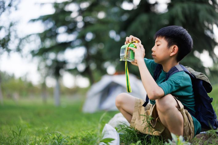 虫をつかまえる男の子の写真